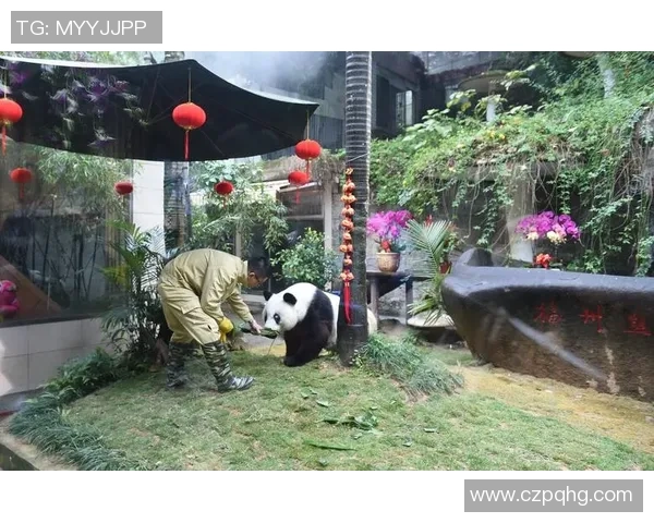 足球明星亲临熊猫基地与可爱熊猫互动传递环保理念 足球明星亲临熊猫基地与可爱熊猫互动传递环保理念