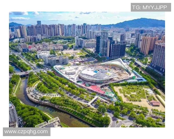 深圳网球队实力分析：聚焦年轻选手与团队协作的崛起之路